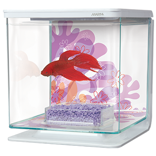 Picture for category Hagen Betta Kit
