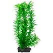 Rostlina TETRA Green Cabomba L 