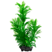 Rostlina TETRA Green Cabomba S 