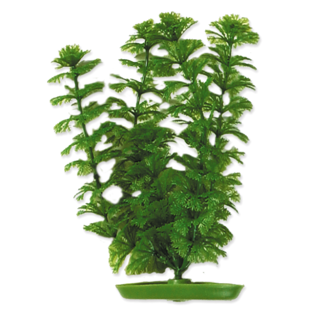 Rostlina MARINA Ambulia 20 cm