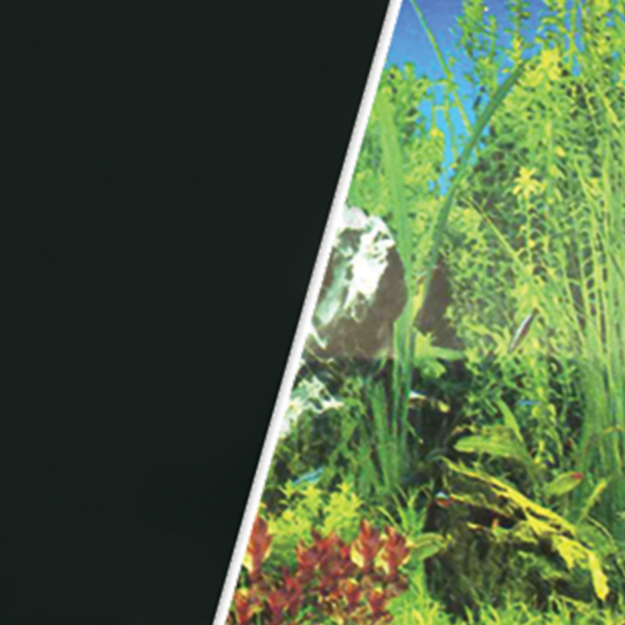Obrázek Pozadí MARINA tapeta oboustranné rostliny / černé 760 x 45 cm 7,6m
